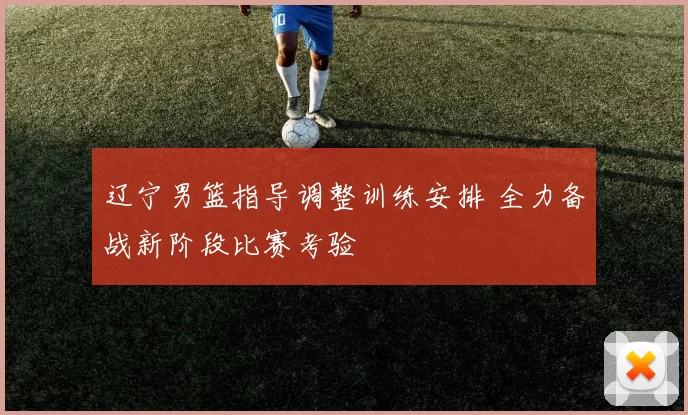 辽宁男篮指导调整训练安排 全力备战新阶段比赛考验